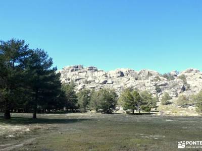 Pinar de Abantos y Zona de la Herrería del Real Sitio de San Lorenzo de El Escorial;cultura de rioja